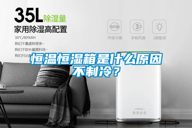 恒溫恒濕箱是什么原因不制冷？