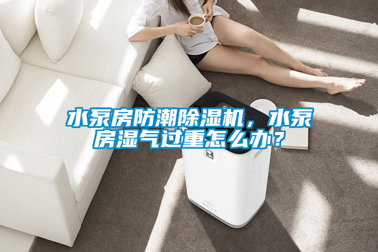 水泵房防潮除濕機(jī)，水泵房濕氣過重怎么辦？