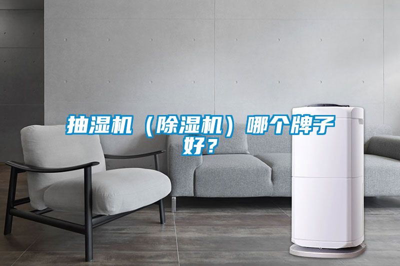 抽濕機（除濕機）哪個牌子好？