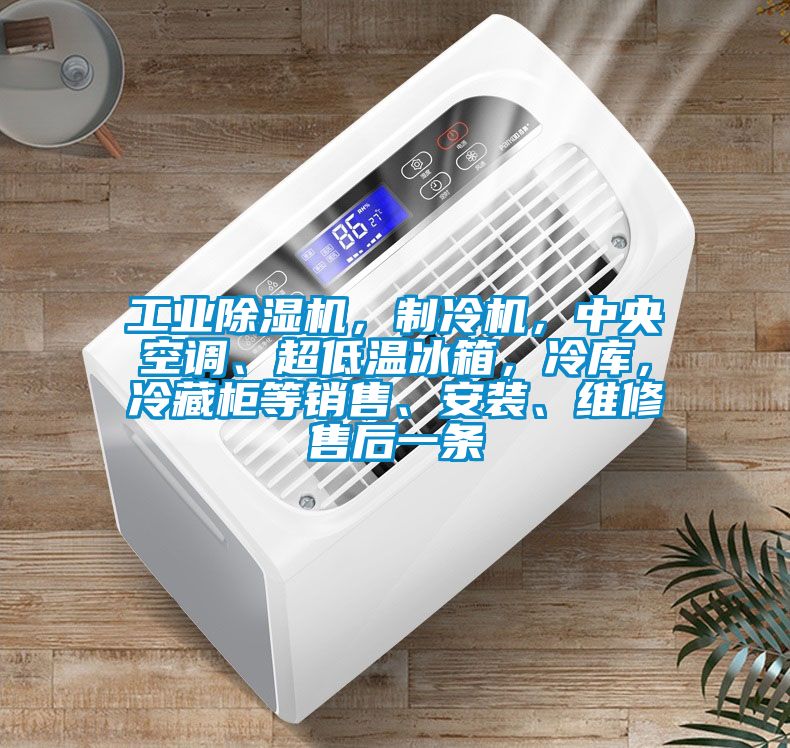 工業(yè)除濕機，制冷機，中央空調(diào)、超低溫冰箱，冷庫，冷藏柜等銷售、安裝、維修售后一條