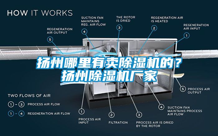 揚(yáng)州哪里有賣除濕機(jī)的？揚(yáng)州除濕機(jī)廠家