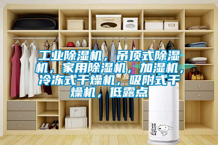 工業(yè)除濕機，吊頂式除濕機，家用除濕機，加濕機，冷凍式干燥機，吸附式干燥機，低露點