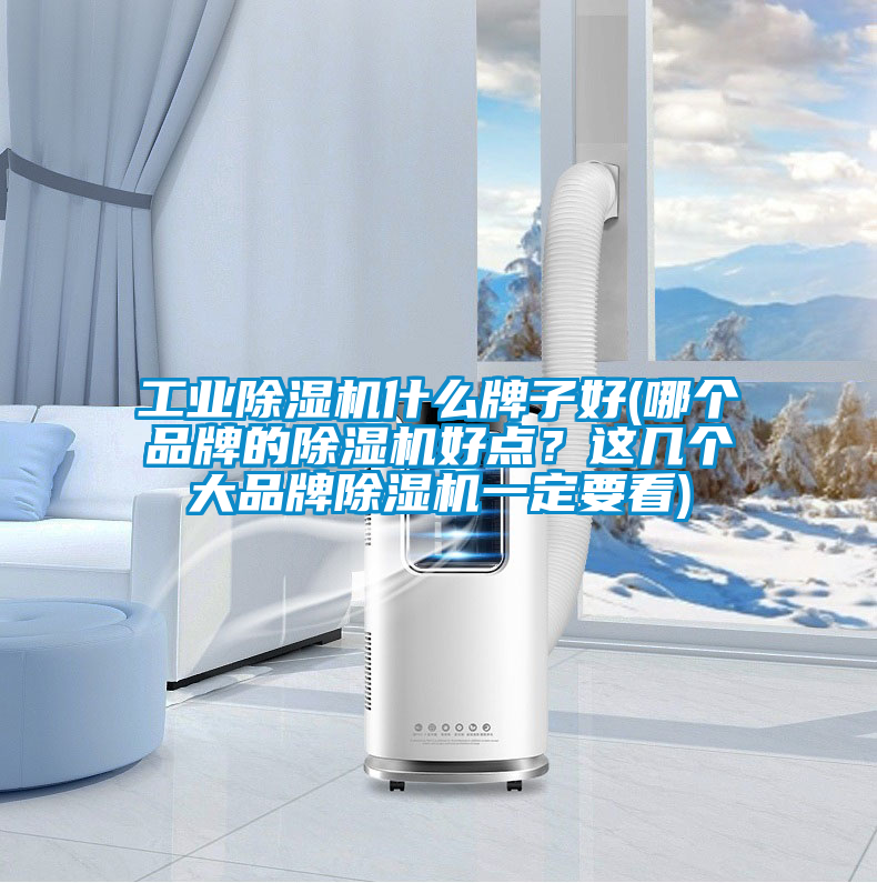 工業(yè)除濕機什么牌子好(哪個品牌的除濕機好點？這幾個大品牌除濕機一定要看)