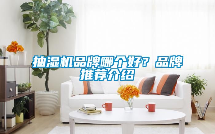 抽濕機品牌哪個好？品牌推薦介紹