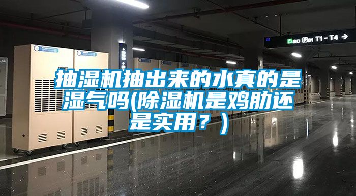 抽濕機抽出來的水真的是濕氣嗎(除濕機是雞肋還是實用？)