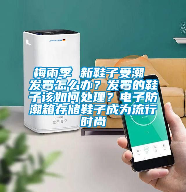梅雨季 新鞋子受潮 發(fā)霉怎么辦？發(fā)霉的鞋子該如何處理？電子防潮箱存儲鞋子成為流行時尚