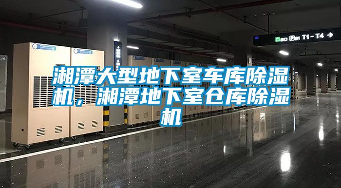湘潭大型地下室車庫(kù)除濕機(jī)，湘潭地下室倉(cāng)庫(kù)除濕機(jī)