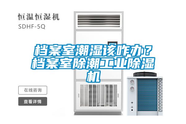 檔案室潮濕該咋辦？檔案室除潮工業(yè)除濕機(jī)