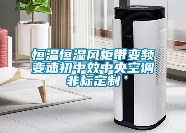 恒溫恒濕風(fēng)柜帶變頻變速初中效中央空調(diào)非標定制