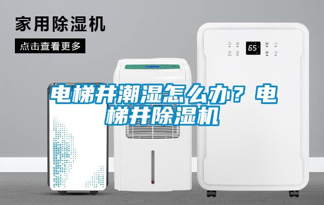 電梯井潮濕怎么辦？電梯井除濕機(jī)
