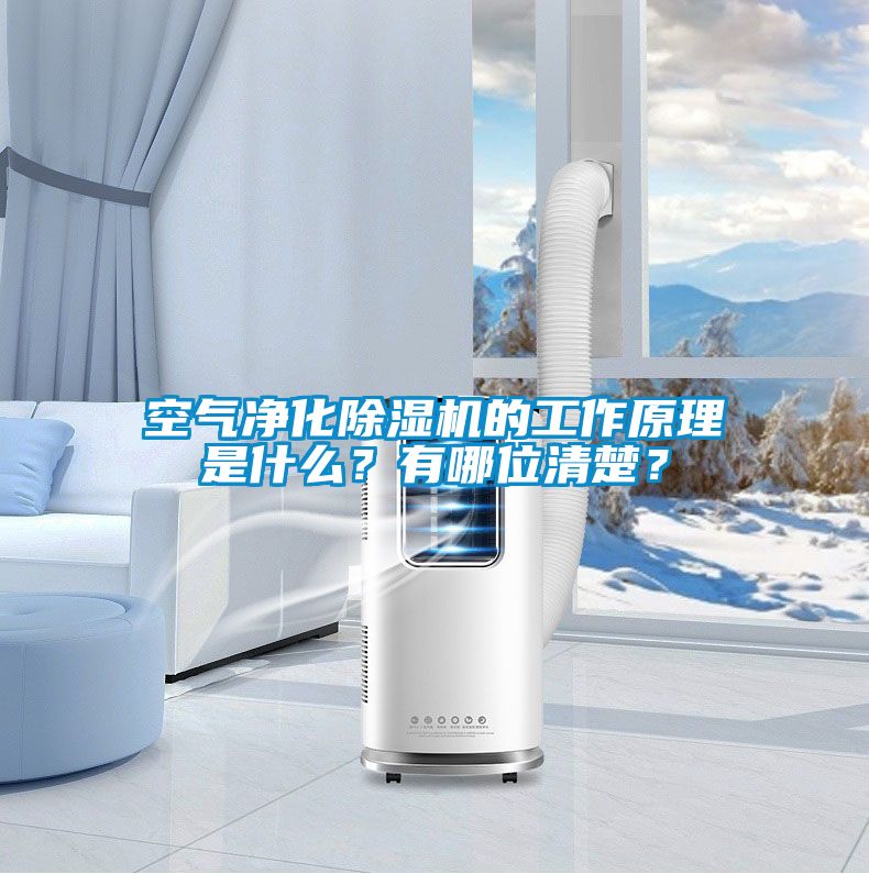 空氣凈化除濕機的工作原理是什么？有哪位清楚？