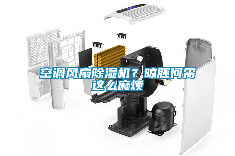 空調(diào)風(fēng)扇除濕機？晾胚何需這么麻煩