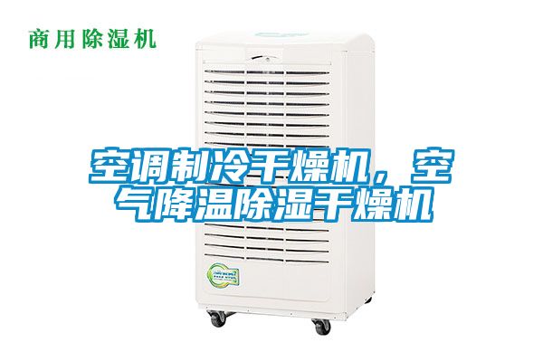 空調(diào)制冷干燥機，空氣降溫除濕干燥機