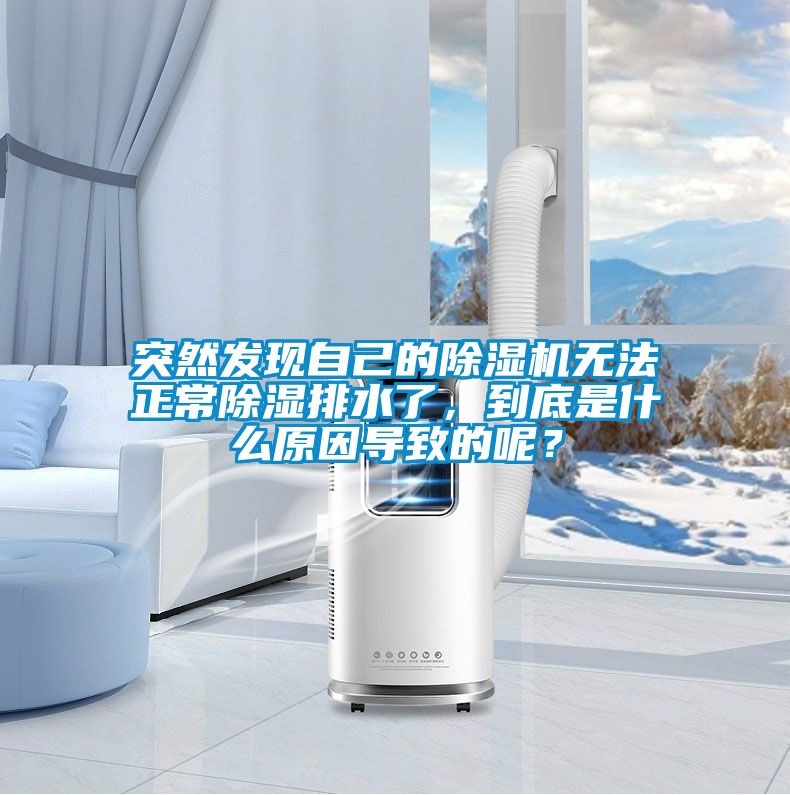 突然發(fā)現(xiàn)自己的除濕機無法正常除濕排水了，到底是什么原因?qū)е碌哪兀?/></p>
						    <p style=