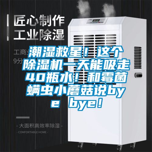 潮濕救星！這個(gè)除濕機(jī)一天能吸走40瓶水！和霉菌螨蟲小蘑菇說bye bye！