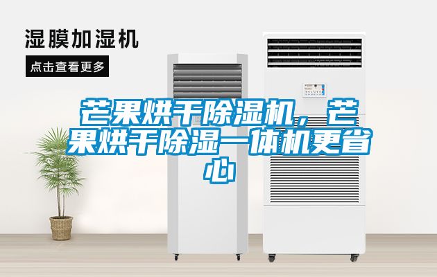 芒果烘干除濕機，芒果烘干除濕一體機更省心