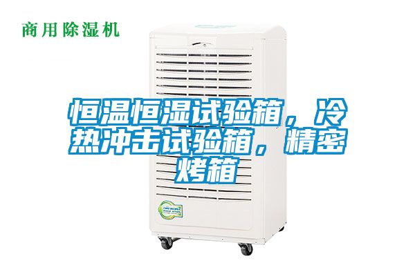 恒溫恒濕試驗(yàn)箱，冷熱沖擊試驗(yàn)箱，精密烤箱