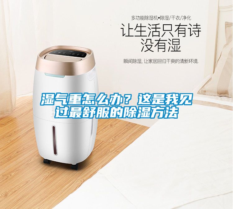 濕氣重怎么辦？這是我見過最舒服的除濕方法