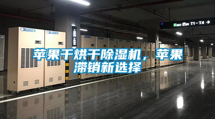 蘋果干烘干除濕機，蘋果滯銷新選擇