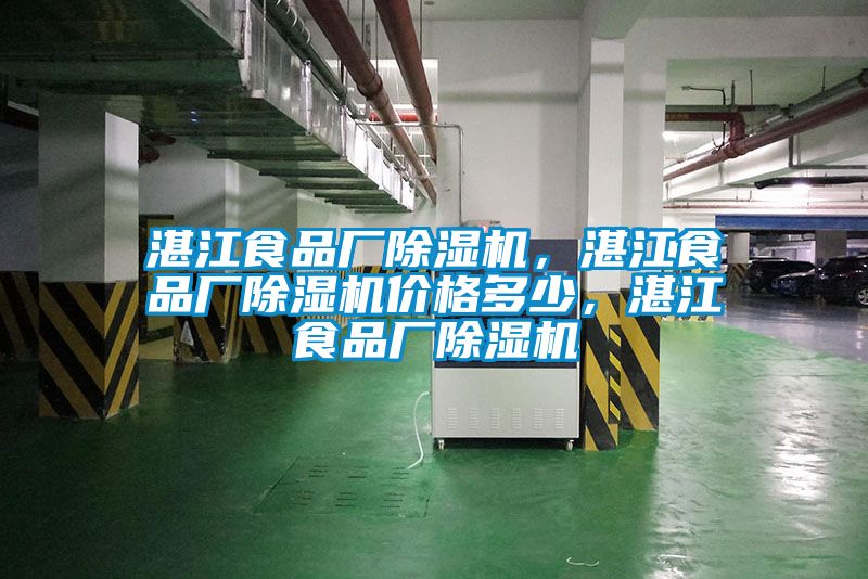 湛江食品廠除濕機(jī)，湛江食品廠除濕機(jī)價(jià)格多少，湛江食品廠除濕機(jī)