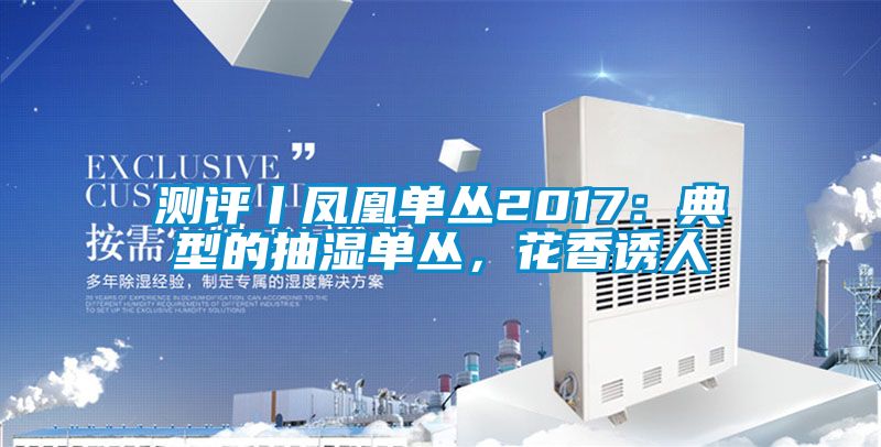 測評丨鳳凰單叢2017：典型的抽濕單叢，花香誘人
