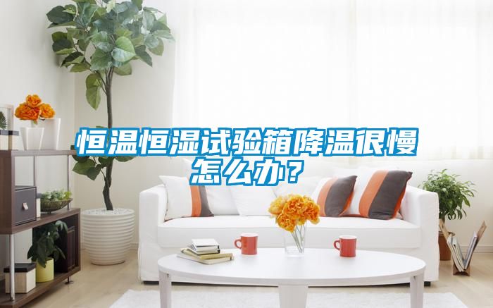 恒溫恒濕試驗(yàn)箱降溫很慢怎么辦？