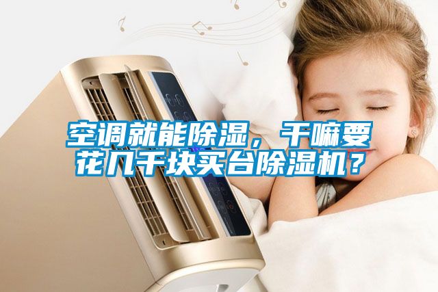 空調(diào)就能除濕，干嘛要花幾千塊買臺(tái)除濕機(jī)？