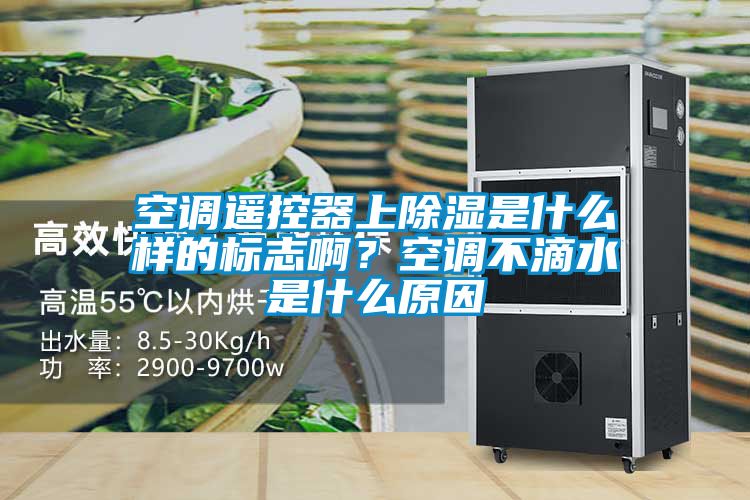 空調(diào)遙控器上除濕是什么樣的標(biāo)志??？空調(diào)不滴水是什么原因