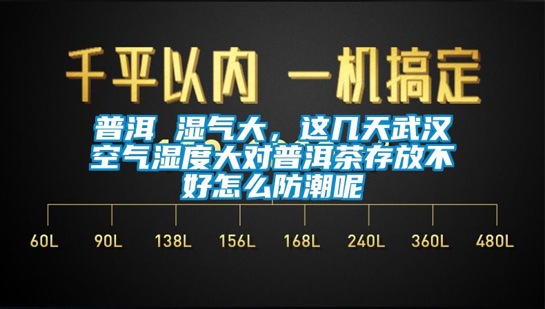 普洱 濕氣大，這幾天武漢空氣濕度大對普洱茶存放不好怎么防潮呢