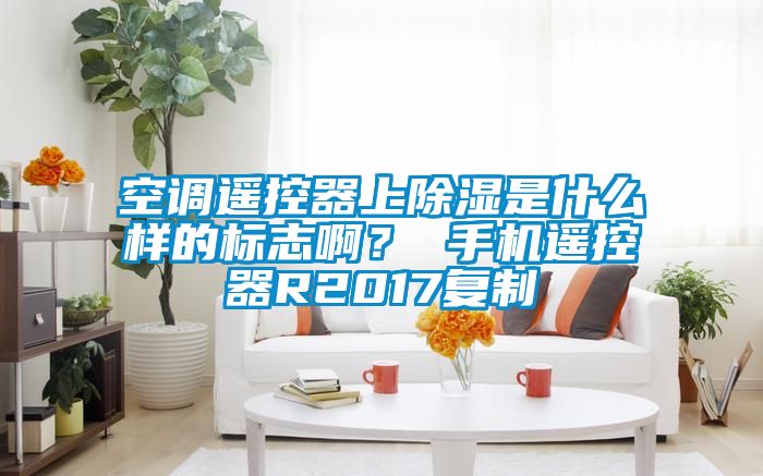空調(diào)遙控器上除濕是什么樣的標(biāo)志?。?手機(jī)遙控器R2017復(fù)制