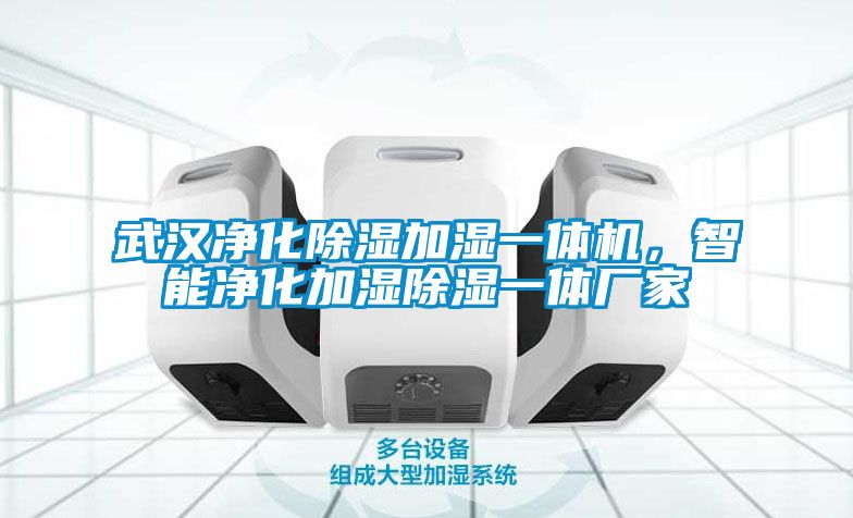 武漢凈化除濕加濕一體機，智能凈化加濕除濕一體廠家