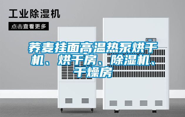 蕎麥掛面高溫熱泵烘干機、烘干房、除濕機、干燥房