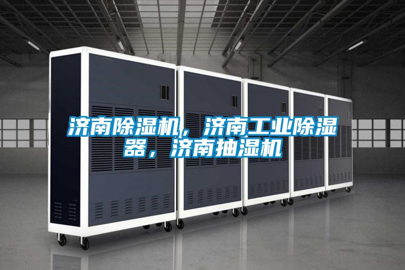 濟南除濕機，濟南工業(yè)除濕器，濟南抽濕機