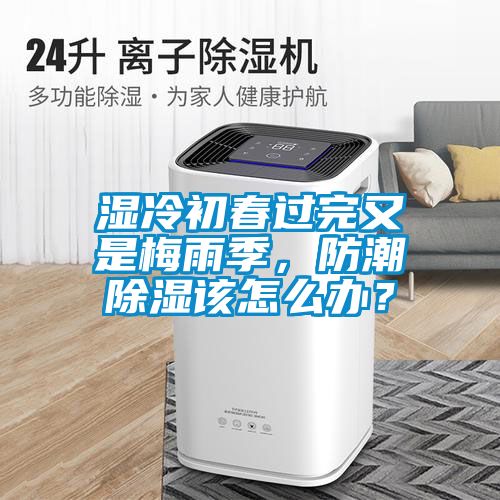濕冷初春過完又是梅雨季，防潮除濕該怎么辦？
