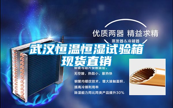 武漢恒溫恒濕試驗(yàn)箱現(xiàn)貨直銷(xiāo)