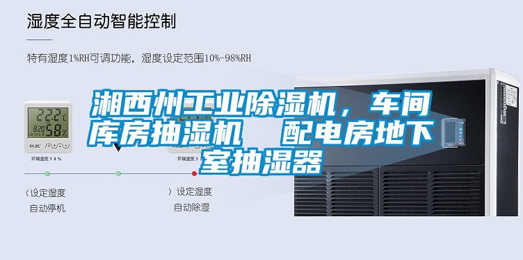 湘西州工業(yè)除濕機，車間庫房抽濕機  配電房地下室抽濕器