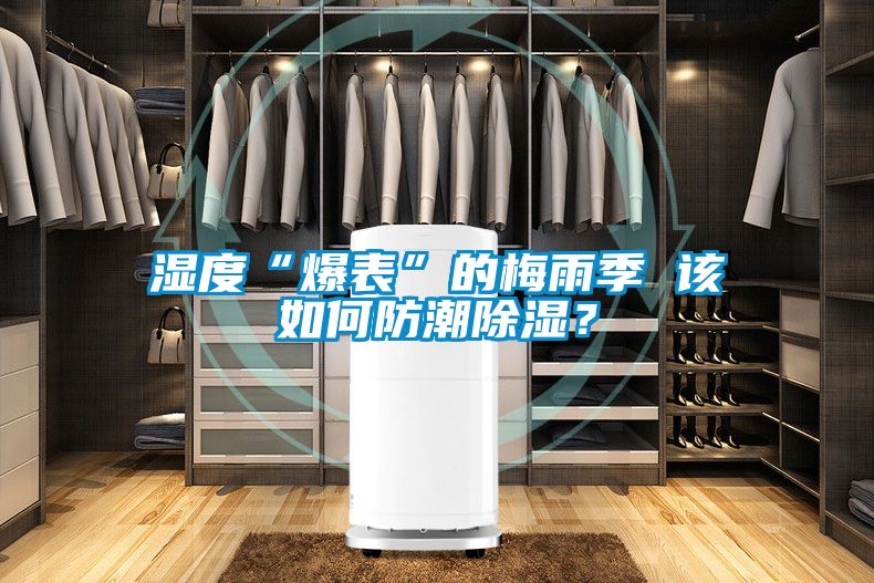 濕度“爆表”的梅雨季 該如何防潮除濕？