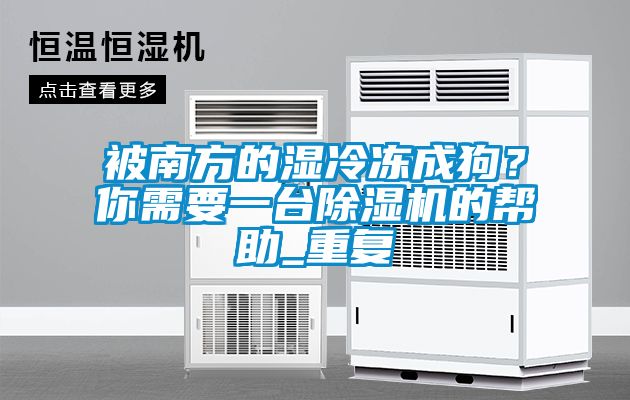 被南方的濕冷凍成狗？你需要一臺除濕機的幫助_重復(fù)