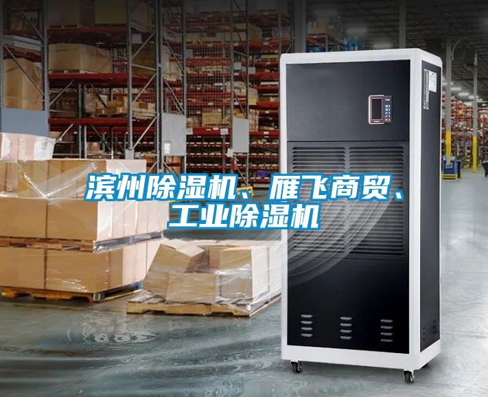 濱州除濕機、雁飛商貿(mào)、工業(yè)除濕機