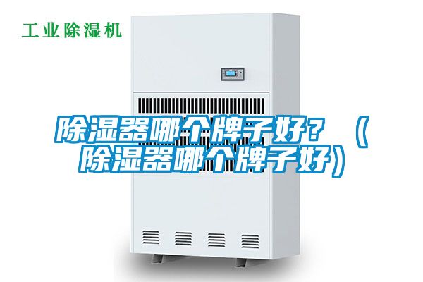 除濕器哪個牌子好？（除濕器哪個牌子好）