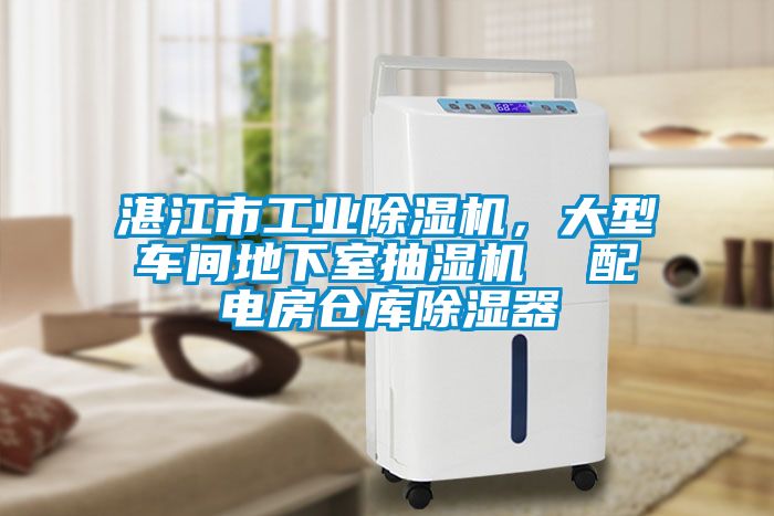 湛江市工業(yè)除濕機，大型車間地下室抽濕機  配電房倉庫除濕器