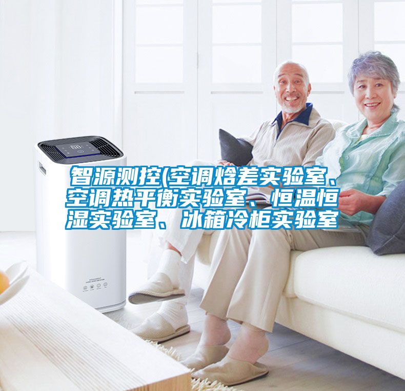 智源測(cè)控(空調(diào)焓差實(shí)驗(yàn)室、空調(diào)熱平衡實(shí)驗(yàn)室、恒溫恒濕實(shí)驗(yàn)室、冰箱冷柜實(shí)驗(yàn)室
