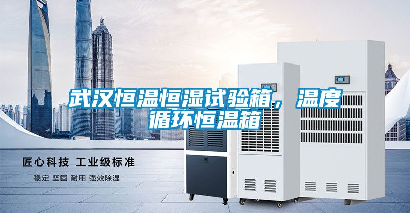 武漢恒溫恒濕試驗(yàn)箱，溫度循環(huán)恒溫箱