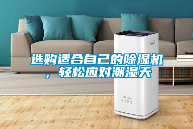 選購適合自己的除濕機(jī)，輕松應(yīng)對(duì)潮濕天