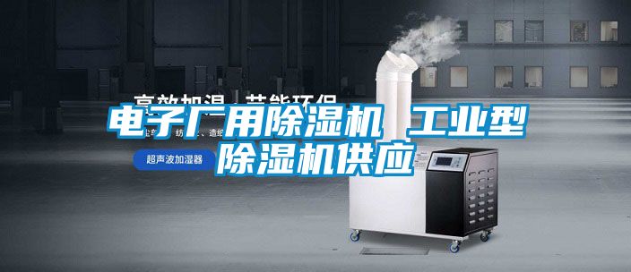 電子廠(chǎng)用除濕機(jī) 工業(yè)型除濕機(jī)供應(yīng)