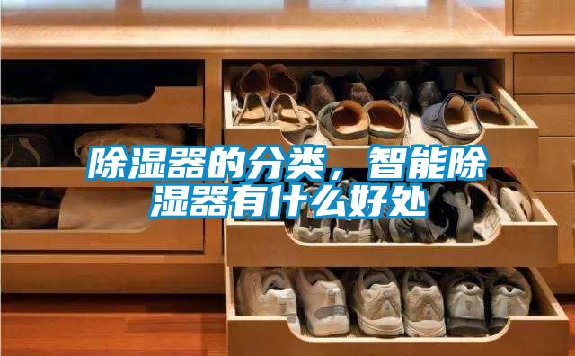 除濕器的分類(lèi)，智能除濕器有什么好處