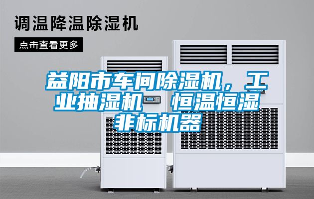 益陽(yáng)市車間除濕機(jī)，工業(yè)抽濕機(jī)  恒溫恒濕非標(biāo)機(jī)器