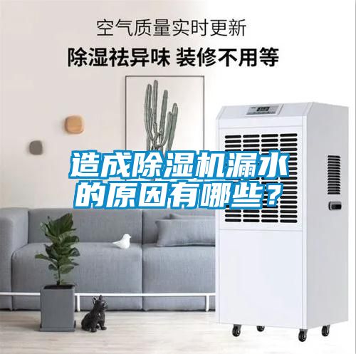 造成除濕機(jī)漏水的原因有哪些？
