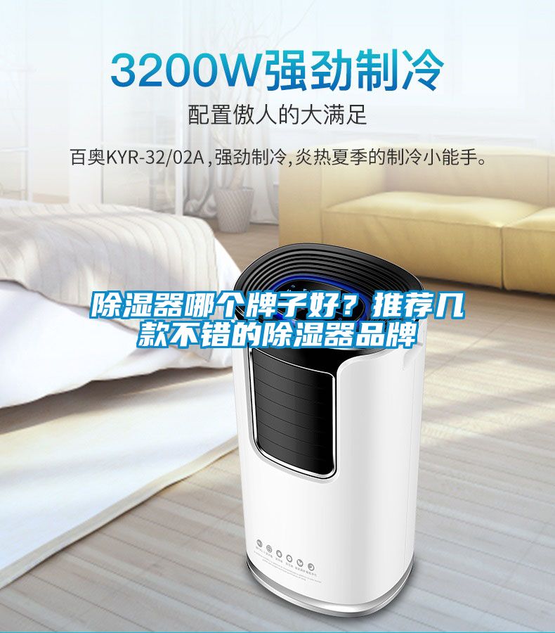 除濕器哪個牌子好？推薦幾款不錯的除濕器品牌