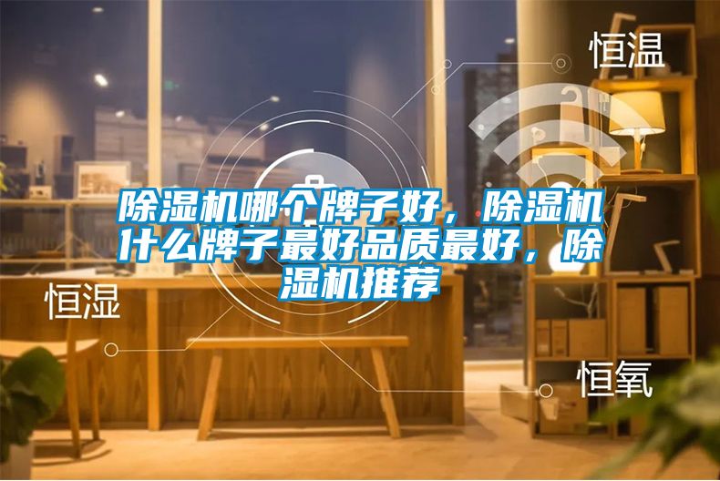 除濕機(jī)哪個(gè)牌子好，除濕機(jī)什么牌子最好品質(zhì)最好，除濕機(jī)推薦